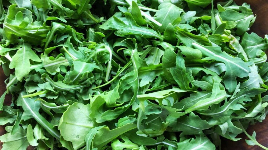 🧬 The Role of the Arugula Researcher at Cambridge