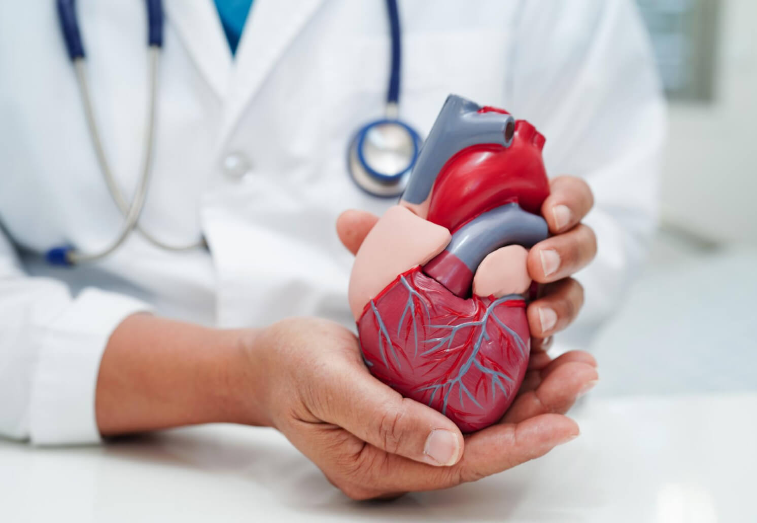 When to Consult a Cardiologist for Heart Concerns