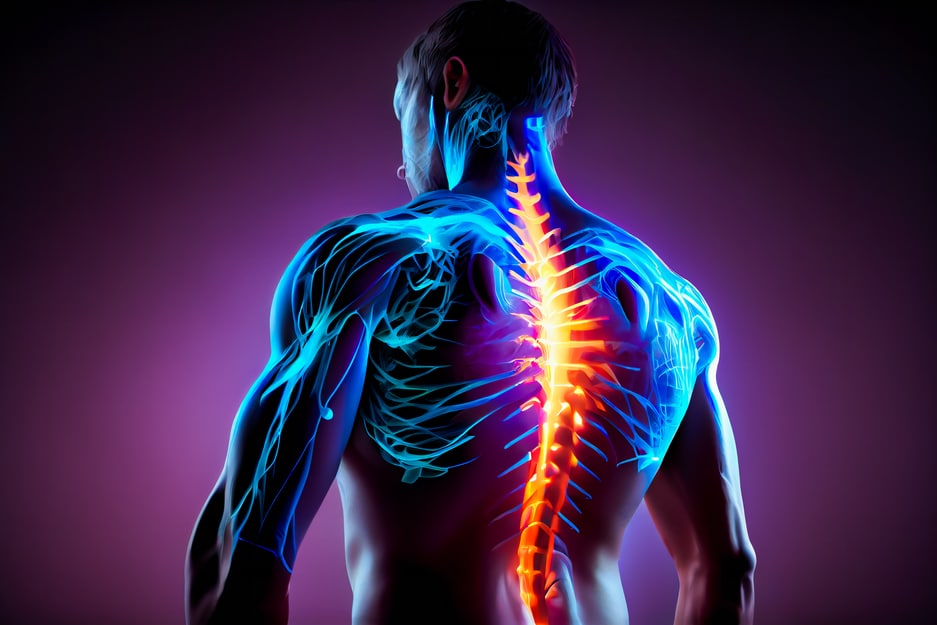 Why Disc Replacement Surgery Might Be the Best Option for Your Spine